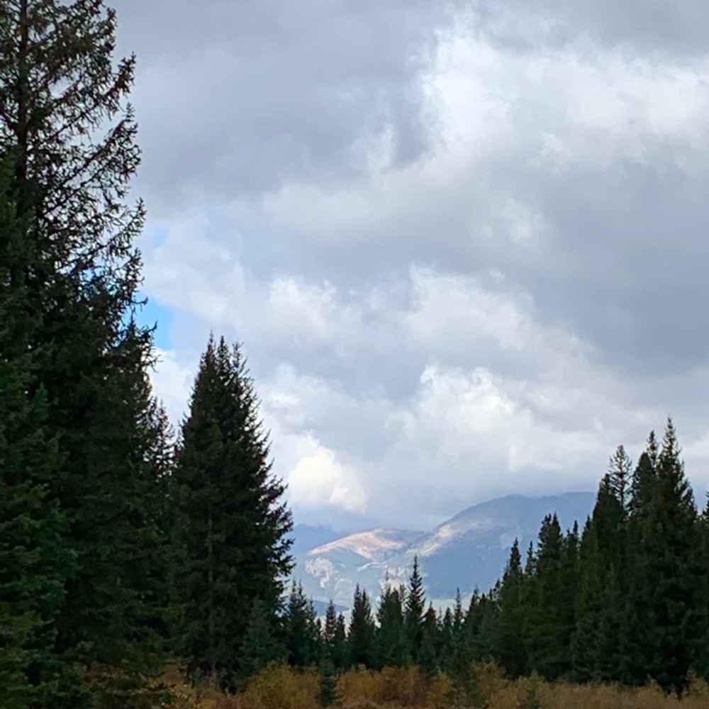 Meet your Posher, Emilie